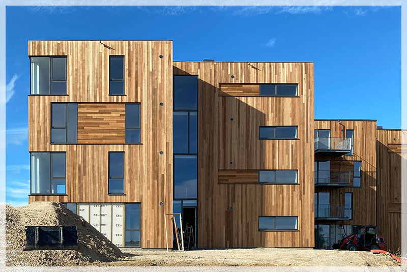 solsikkevaenget_800x535