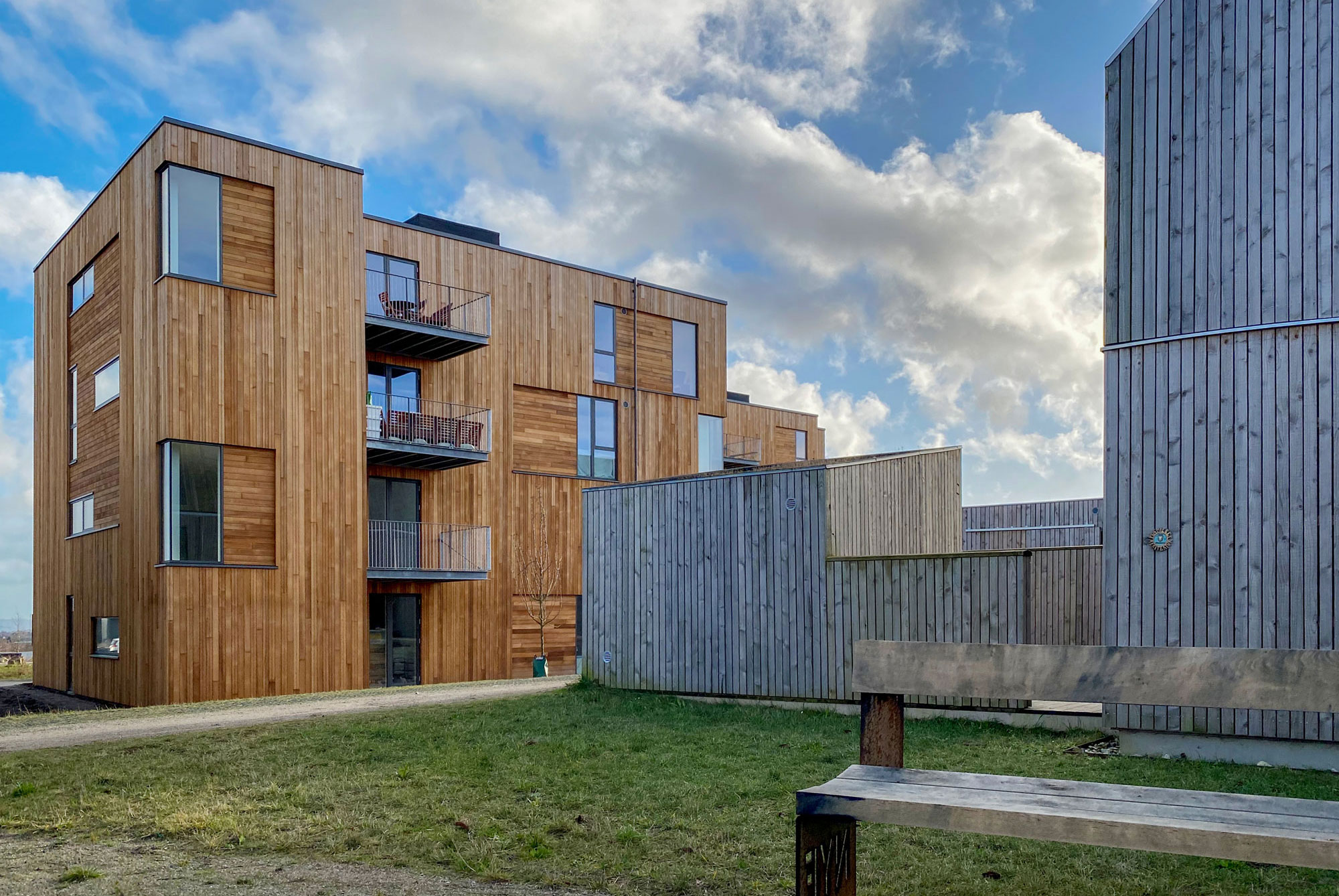 Solsikkevænget